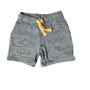 Shark Print Kids Shorts